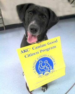 caninegoodcitizen